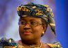 I have Strong Support from Africa for WTO Leadership – Okonjo-Iweala