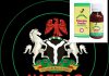 UPDATED DENIAL: NAFDAC approves PAX herbal drug as immune booster against coronavirus