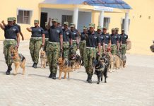 Employment: Nigeria police begin 2020 recruitment exercise