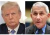 America shuts down again — choosing reality over Trump’s false claims