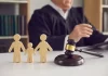 Life After Law School: How Young Lawyers Survive Judicial Children Law