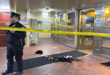Man shot to death visiting his old Harlem NYCHA building was dad of 4 with 1 on way