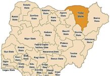 Tragedy in Yobe: Woman Kills Husband in Food-Related Argument