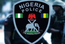NPF extend tinted glass permit enforcement to October 2