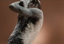 UK Bans Sanex Advert Over Racism Concerns