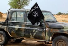 Boko Haram Founder’s Son Arrested in Chad