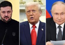 White House Considers Inviting Zelensky to Trump-Putin Summit