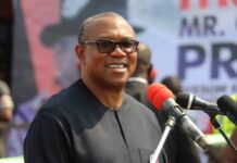 Peter Obi Resumes Public Activities After Brief Medical Rest