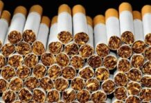Italy Seizes 150 Tonnes of Counterfeit Cigarettes in Major Operation
