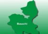 Nigeria’s Ritual Crisis: When Children Become Killers and Justice Comes Too Late. Bauchi-state-map