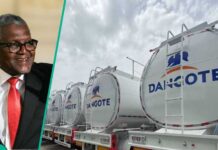 Dangote Refinery Uses CNG Trucks to Sell Petrol at N850 While NNPC and Retailers Hike Prices to N955 Dangote