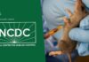 Lassa Fever Outbreak Claims 166 Lives in Nine Months, Authorities Raise Alarm