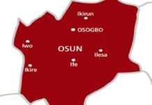 Osun’s ‘Killer’ Caught with Guns — But Who’s Arming the Streets Before Election Season?