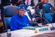 Dogara Applauds Tinubu’s Billions-for-Votes Scheme While Nigerian Universities Rot President Bola Tinubu