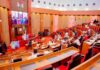 No Child Left Misunderstood: Senate Moves to Build Autism Centres Nationwide. Senate