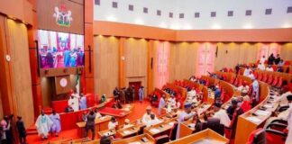 No Child Left Misunderstood: Senate Moves to Build Autism Centres Nationwide. Senate