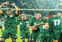 Super Eagles Revive World Cup Hopes With 2-1 Win Over Lesotho Super Eagles Players