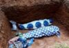 Another Night, Another Funeral: Daron’s Children Gunned Down While Nigeria Sleeps” Two Killed in Plateau