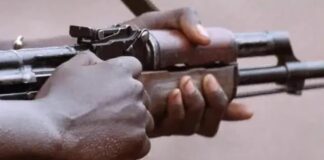 Teacher killed and 25 girls Abducted in Gunbattle at Nigerian School in Kebbi