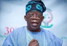 Tinubu to Announce New Ambassadors ‘Very Soon’, Presidency Confirms. President Bola Ahmed Tinubu