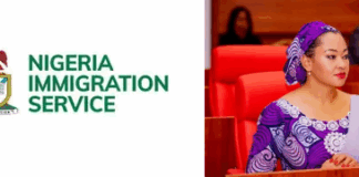 “We Never Seized the Passport”: Immigration Service Denies Allegation by Nigerian Senator. Nigerian Immigration Service denies seizing Natasha's Passport