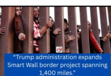 Trump’s 8 Billion Dollars Wall Gamble: Security or Spectacle?