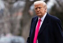 22nd Amendment Blocks Trump from Third Presidency President Trump