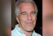 Emails Reveal Agent Urged Epstein to Exploit Models