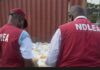Nigeria’s NDLEA Records Major Breakthrough in Fight Against Trafficking Nigeria’s NDLEA Records Major Breakthrough in Fight Against Trafficking