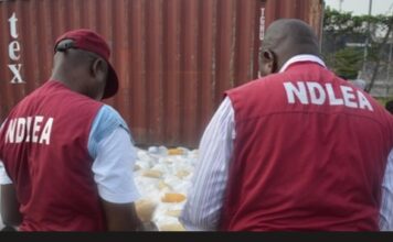 Nigeria’s NDLEA Records Major Breakthrough in Fight Against Trafficking Nigeria’s NDLEA Records Major Breakthrough in Fight Against Trafficking