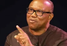 Obi Emerges as Symbol of Nigeria’s Struggle Obi Emerges as Symbol of Nigeria’s Struggle