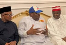 2027: Obi / Kwankwaso ticket poses no real threat to Tinubu – Igbo group 2027: Obi / Kwankwaso ticket poses no real threat to Tinubu – Igbo group