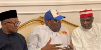 2027: Obi / Kwankwaso ticket poses no real threat to Tinubu – Igbo group 2027: Obi / Kwankwaso ticket poses no real threat to Tinubu – Igbo group