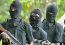 Suspected Armed Herders Kill Four in Benue’s Agatu