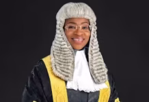 Oyinkansola Okusanya Makes History as NBA’s Second Female President